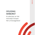 Herborist - Kruidenleer en het menselijk lichaam - Het urinewegstelsel
