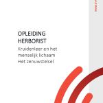 Herborist - Kruidenleer en het menselijk lichaam - Het zenuwstelsel