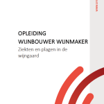 Wijnbouwer Wijnmaker - Ziekten en plagen in de wijngaard